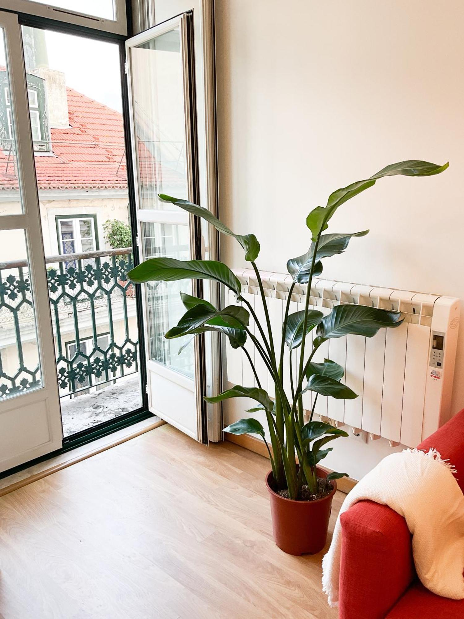 Apartment Stunning Luxury In Chiado 1br Lissabon