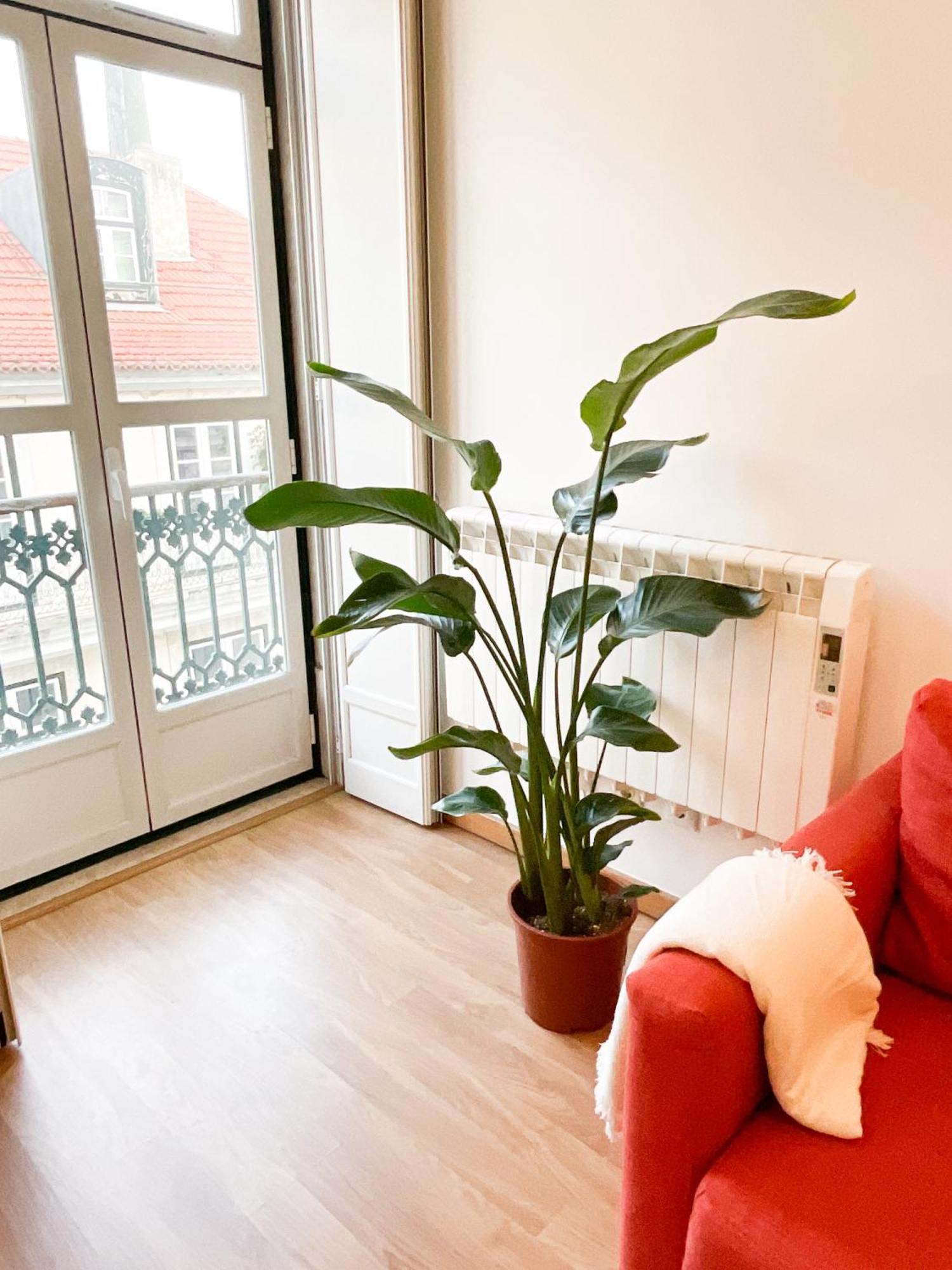 Stunning Luxury In Chiado 1br Apartment *